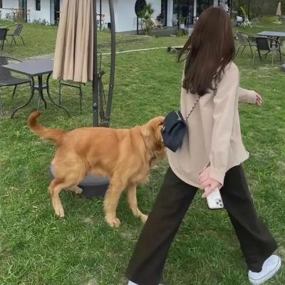 我死去的那天
