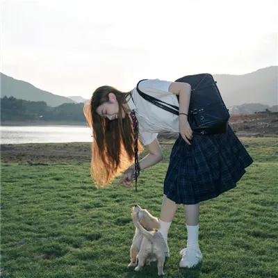 铿锵玫瑰