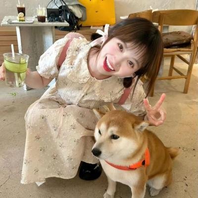 冷静!史酷比